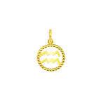Charm Segno Zodiacale in Oro Acquario Oro Giallo