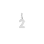Charm Numero in Oro 2 Oro Bianco