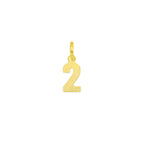Charm Numero in Oro 2 Oro Giallo