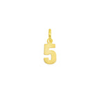 Charm Numero in Oro 5 Oro Giallo