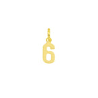 Charm Numero in Oro 6 Oro Giallo